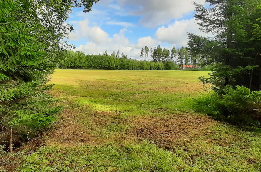 Detaljplaneområdet för Virkkulankylä, ett fält mitt i skogen, bland träden syns en villa